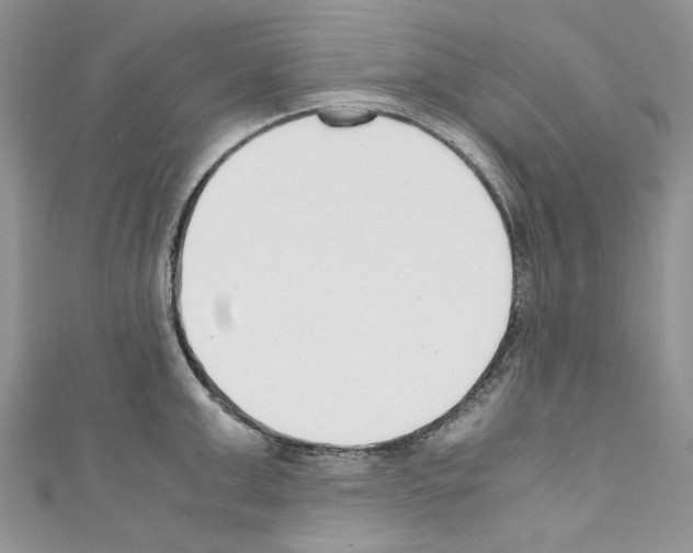 X0000110770999200907271200