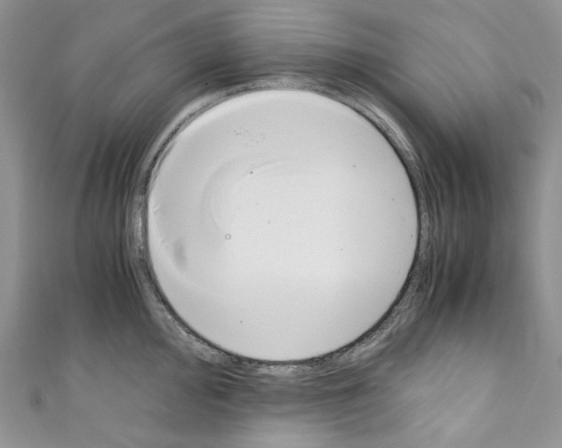 X0000110771000200907271200