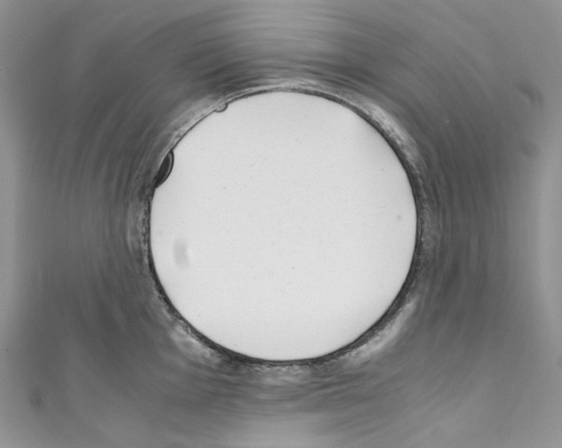 X0000110771001200907271200