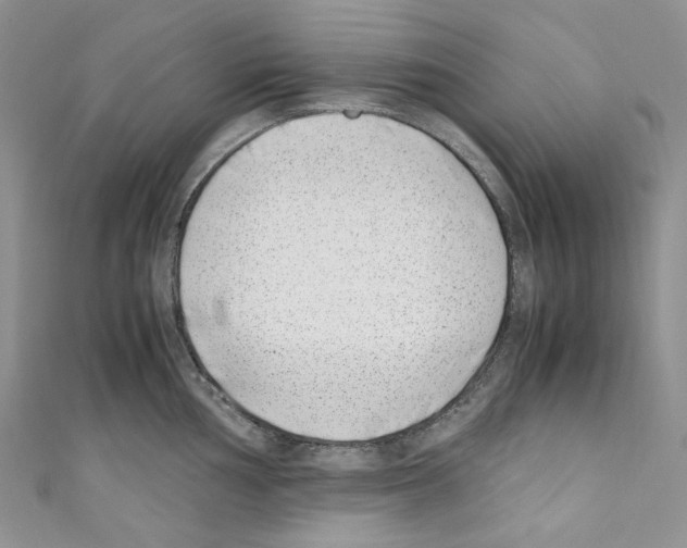 X0000110771002200907271200