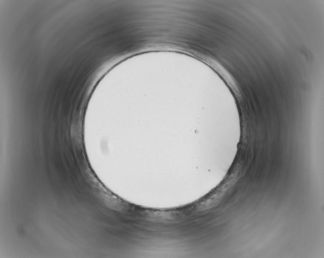 X0000110771004200907271200