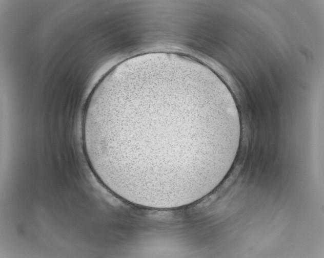 X0000110771006200907271200