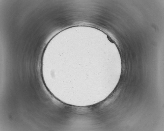 X0000110771007200907271200