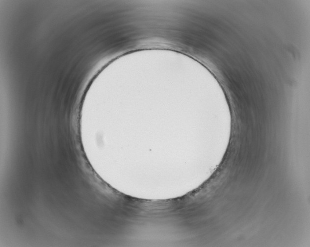 X0000110771008200907271200