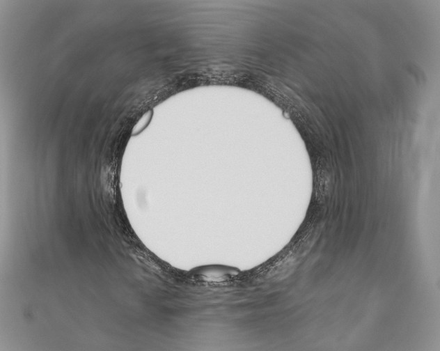 X0000110771010200907271159