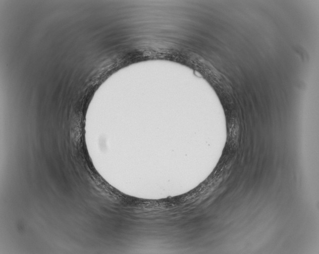 X0000110771012200907271159