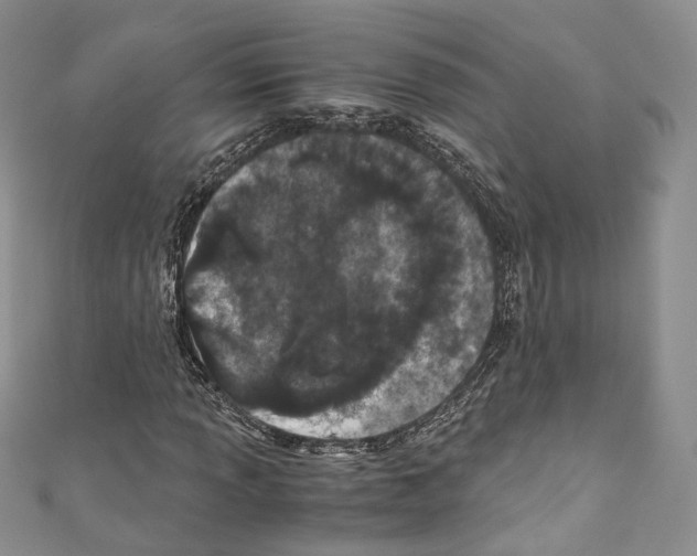 X0000110771013200907271159