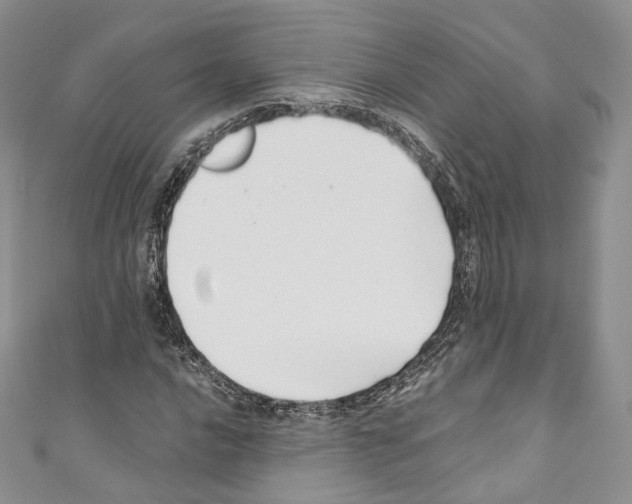 X0000110771016200907271159