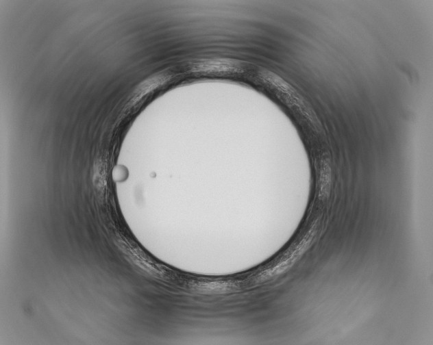 X0000110771017200907271159