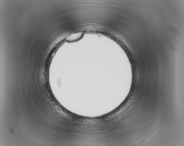 X0000110771018200907271159