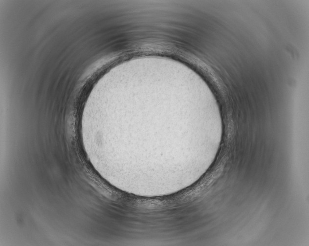 X0000110771019200907271159