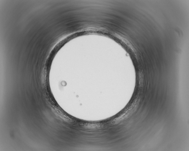 X0000110771021200907271200