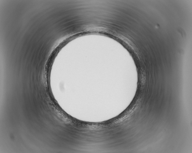 X0000110771022200907271200