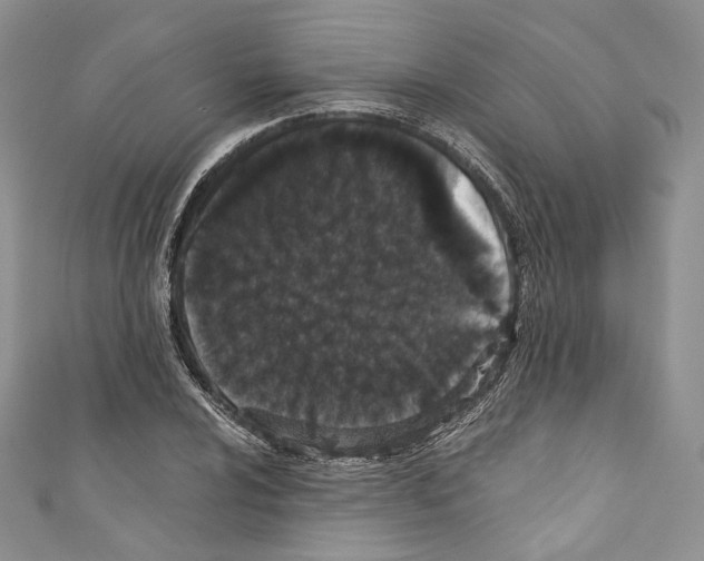 X0000110771024200907271200