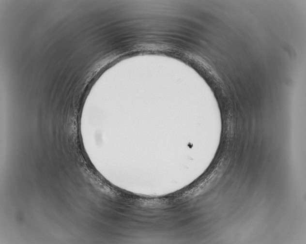 X0000110771025200907271200