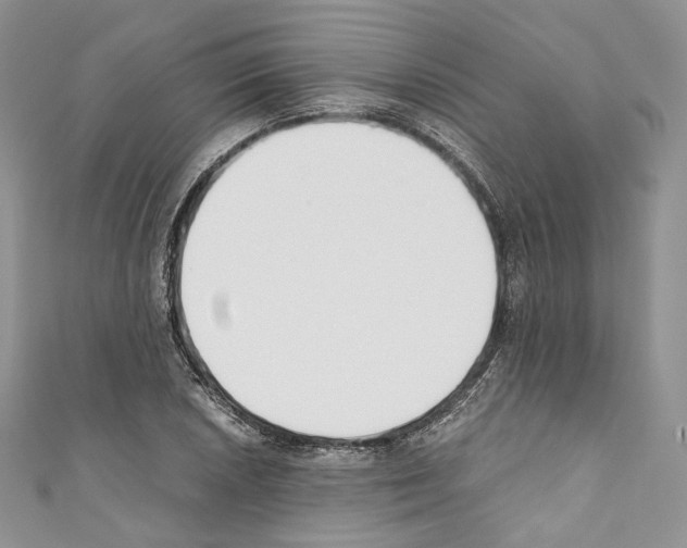 X0000110771026200907271200