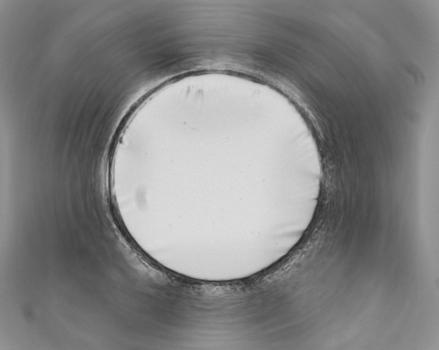 X0000110771032200907271200