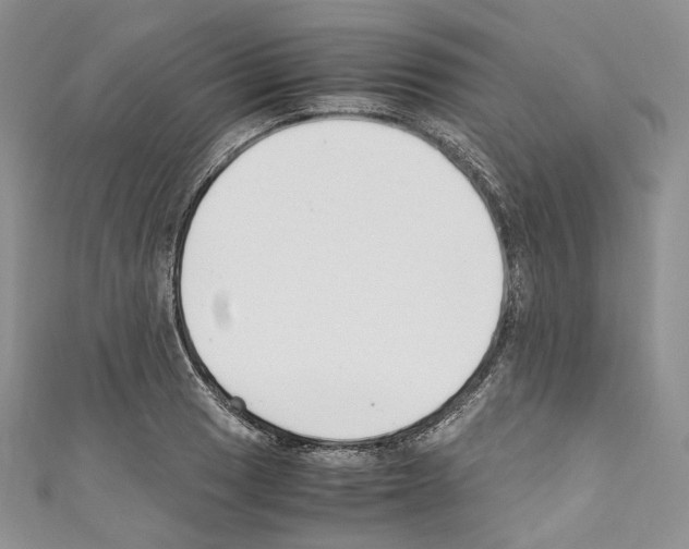 X0000110771033200907271200