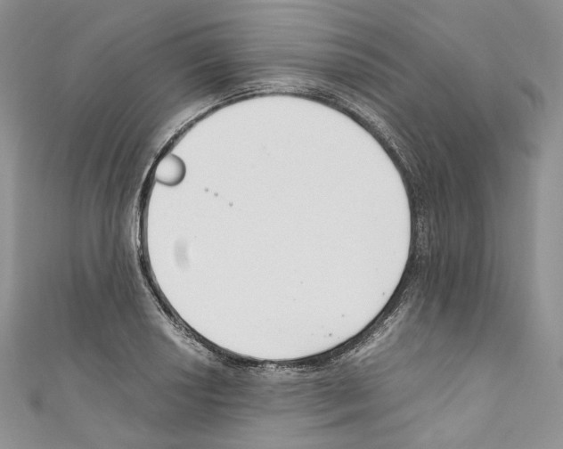 X0000110771034200907271200