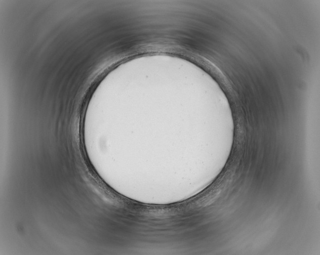 X0000110771035200907271200