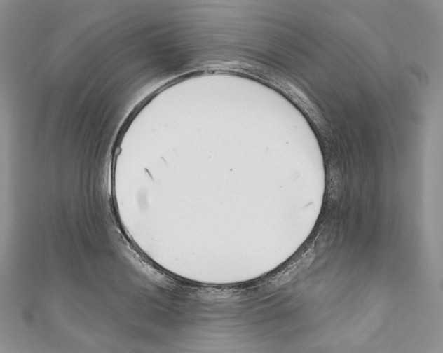 X0000110771036200907271200