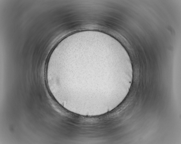 X0000110771039200907271200