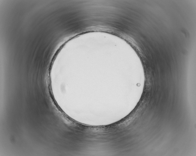 X0000110771040200907271200