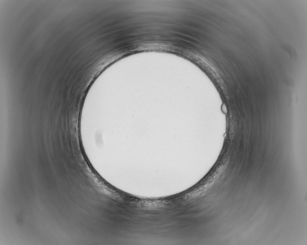 X0000110771041200907271200