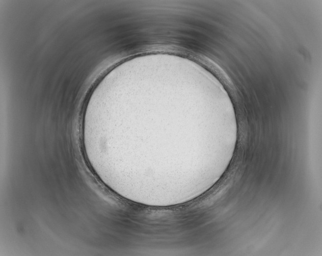 X0000110771043200907271200