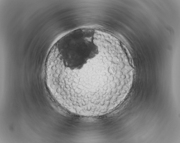 X0000110771044200907271200