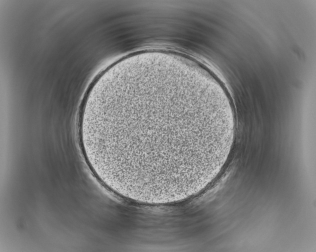 X0000110771045200907271200