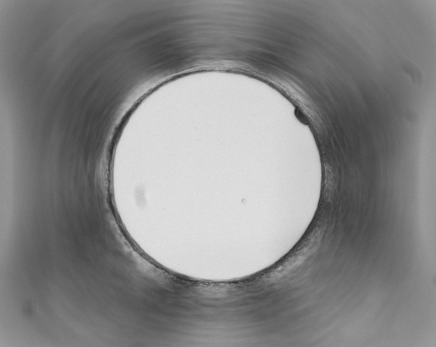 X0000110771046200907271200