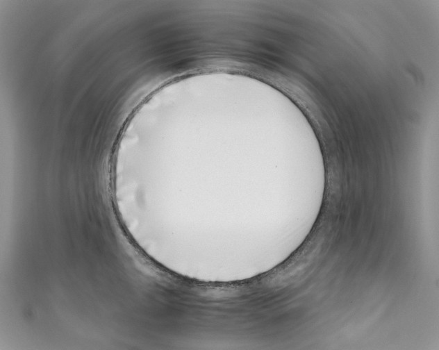 X0000110771047200907271200