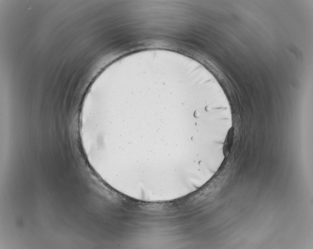 X0000110771048200907271200