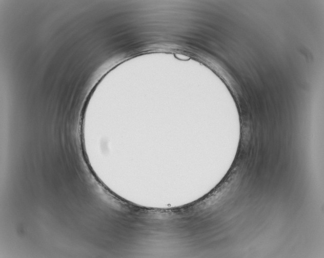 X0000110771050200907271200