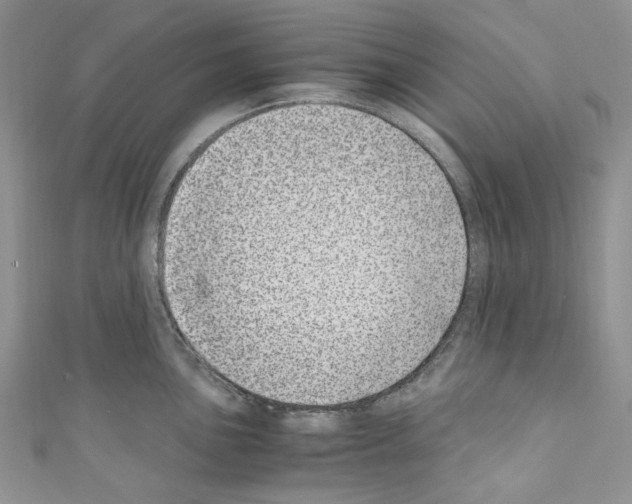 X0000110771051200907271200