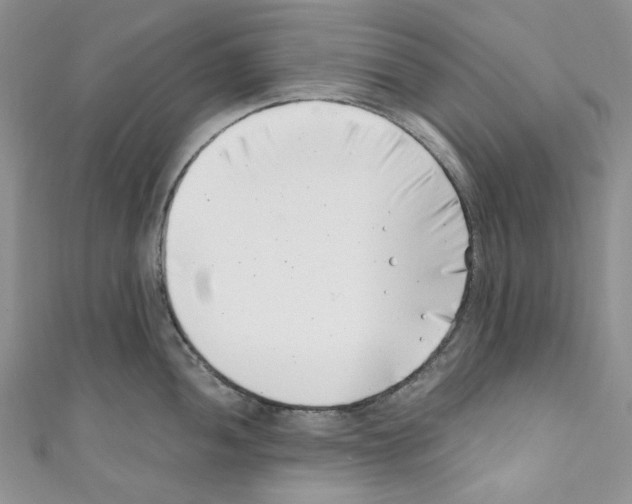 X0000110771052200907271200