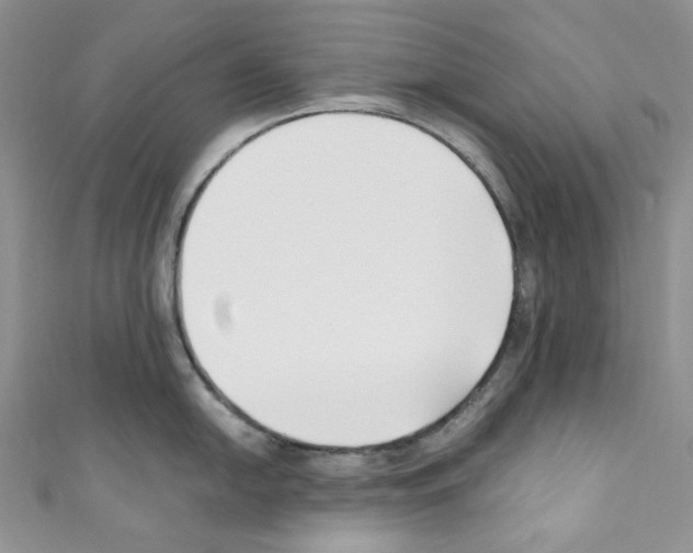 X0000110771054200907271200