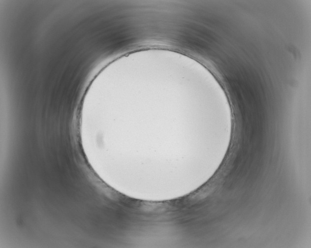 X0000110771056200907271200