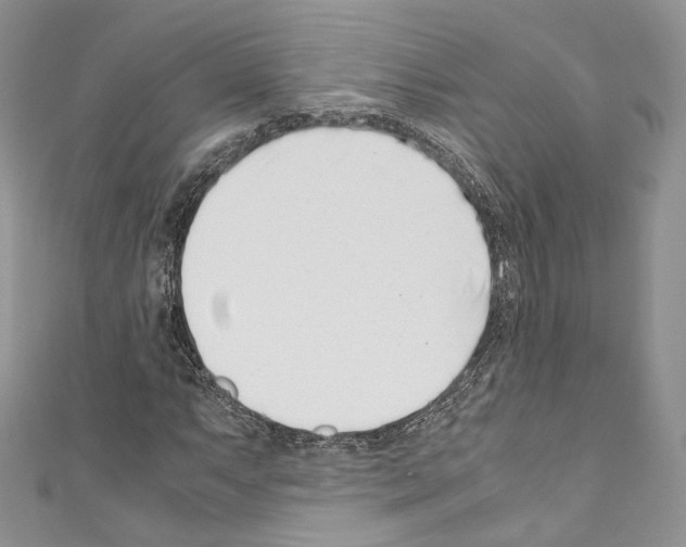 X0000110771063200907271159