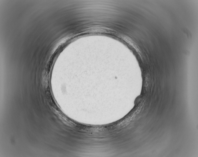 X0000110771067200907271159