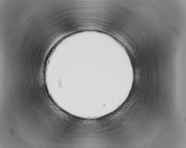 X0000110771068200907271159