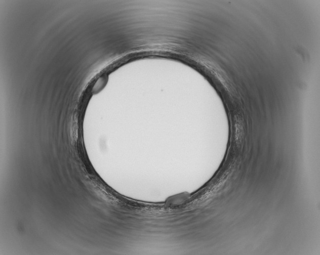 X0000110771069200907271159