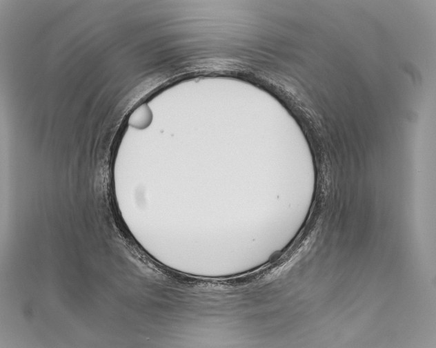 X0000110771073200907271159