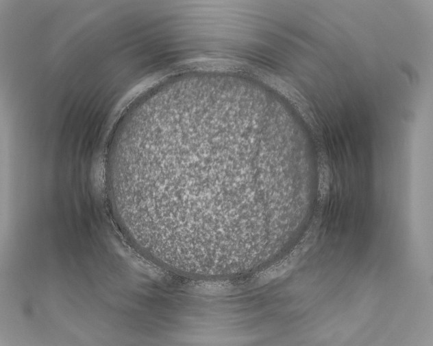 X0000110771074200907271159