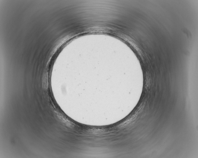 X0000110771075200907271159