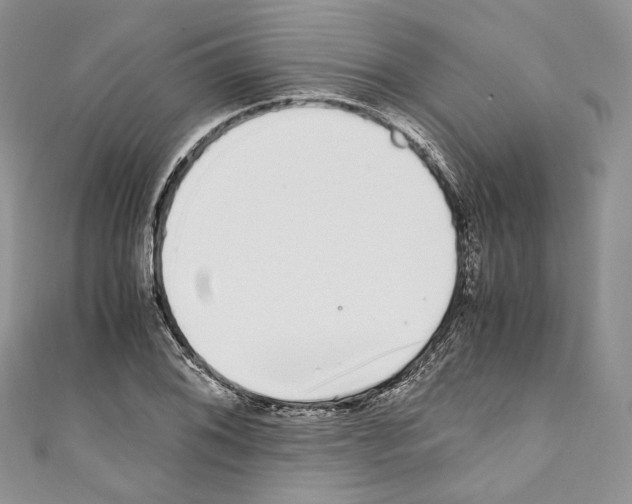 X0000110771076200907271159