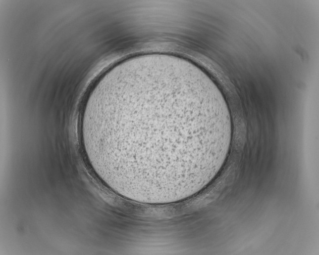 X0000110771078200907271159