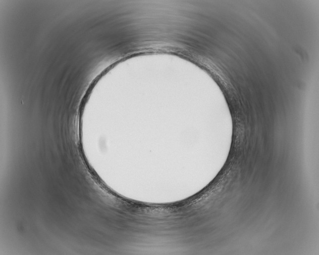 X0000110771079200907271159