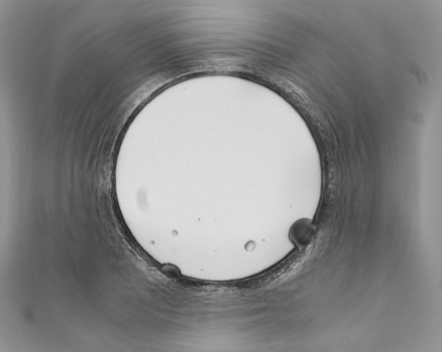 X0000110771081200907271159